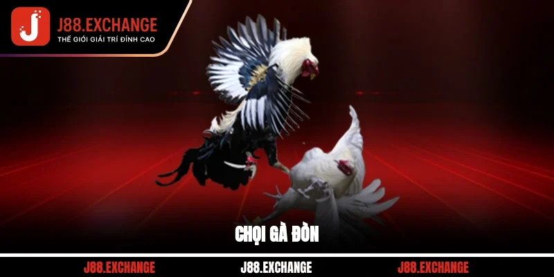 Chọi gà đòn