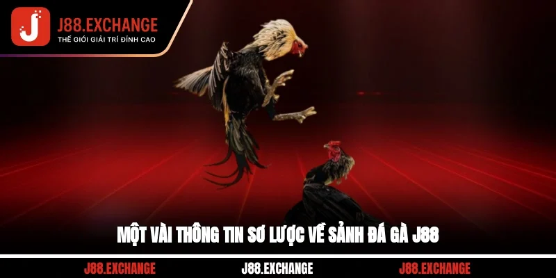 Một vài thông tin sơ lược về sảnh đá gà J88