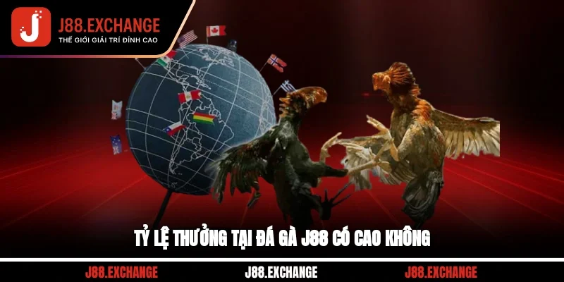 Tỷ lệ thưởng tại đá gà J88 có cao không?